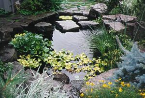 Orchards, Wa Pond Water Feature Construction - Woody's Custom Landscaping