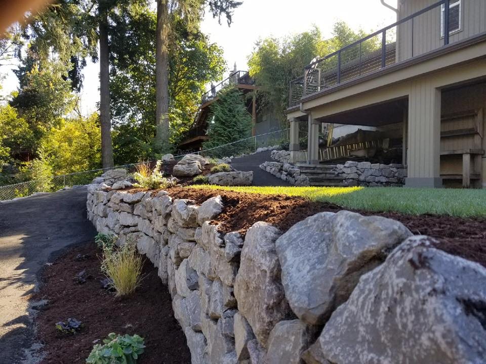 rock walls- sod lawn- planting- gravel pathway-