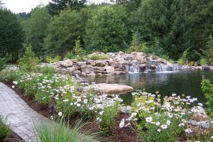 pavers- fall landscaping- planting- ponds- waterfalls-