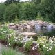 landscaping benefits-pavers- fall landscaping- planting- ponds- waterfalls-