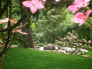 landscape contractors in Vancouver Washington-landscape contractors in Clark County Washington-design build landscaping-Custom residential landscaping- belgard- paver patio- fire pit- sod lawn
