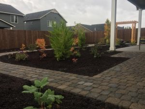 Backyard landscaping- Vancouver WA- Paver patio- planting- landscape design- pergola- water feature-