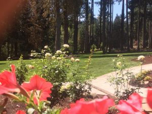 landscaping benefits-rainy weather landscaping-landscape contractors in Clark county Washington-large residential landscaping- Ridgefield WA- planting- irrigation- lawn installation