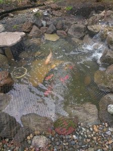 pond pond building hardscapes