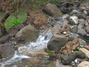 pond pond building waterfall hardscapes